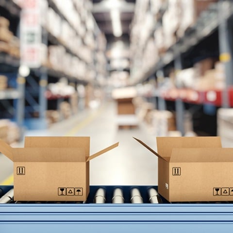 Erfolgsgeschichte der Lagerverwaltungssoftware bei Logis Move