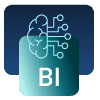 pLG Business Intelligence